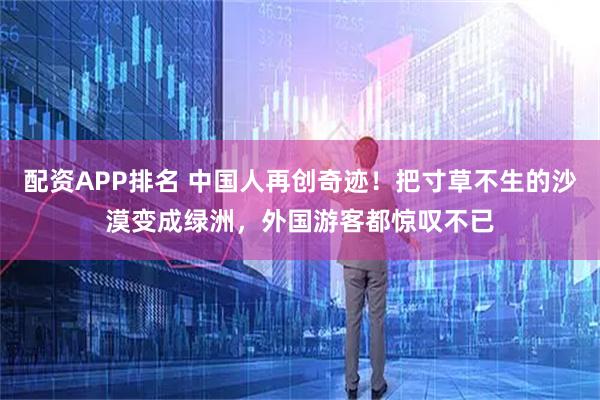 配资APP排名 中国人再创奇迹！把寸草不生的沙漠变成绿洲，外国游客都惊叹不已
